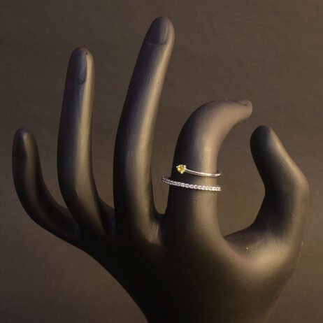 Double Finger Ring
