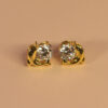 Dolphin Solitaire Earrings